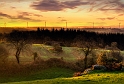paysage 24_12_11n06